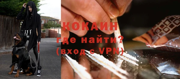 прущие грибы Магадан