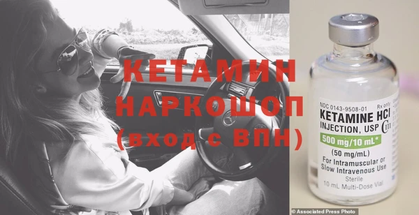 прущие грибы Магадан