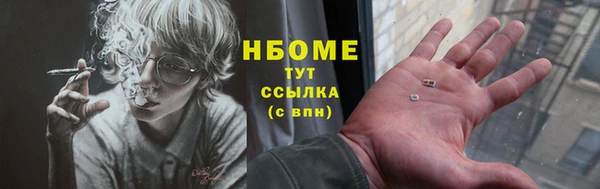 прущие грибы Магадан