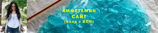 прущие грибы Магадан