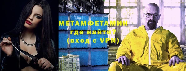 прущие грибы Магадан