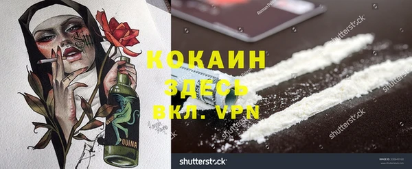 прущие грибы Магадан